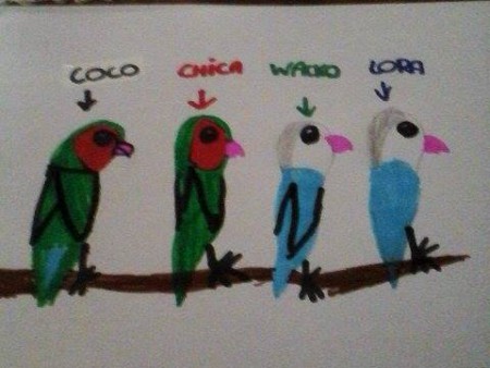 dat is een tekening van mijn dochter 